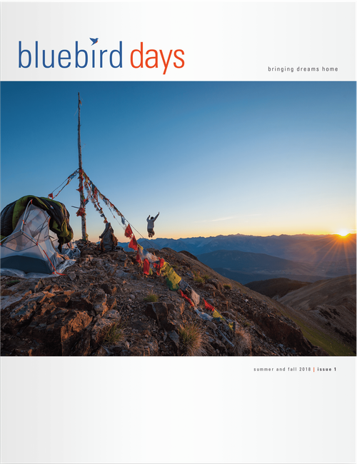 Bluebird Days Magazine