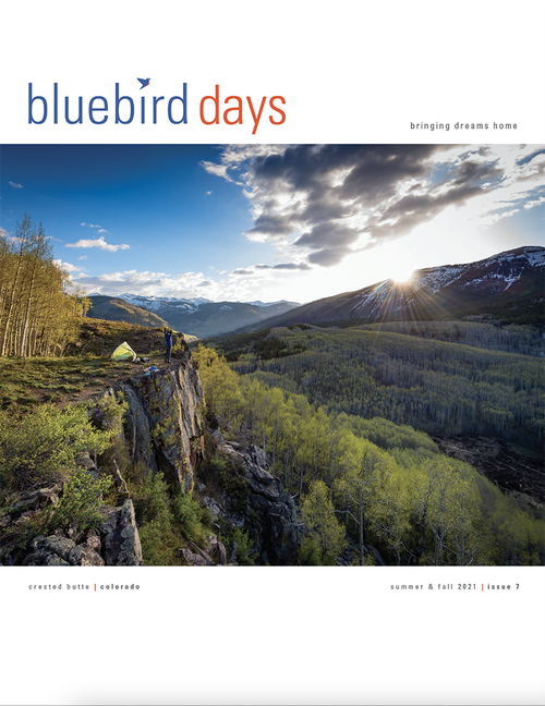 Bluebird Days Magazine