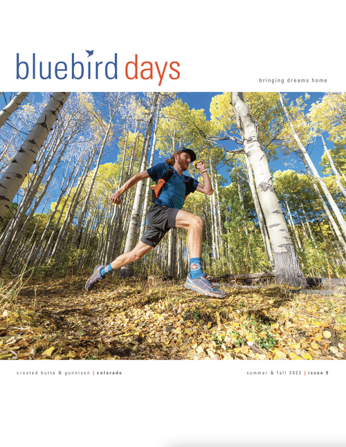 Bluebird Days Magazine