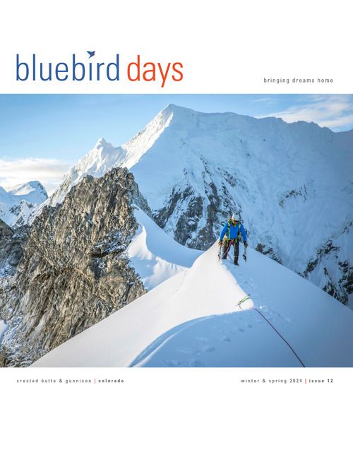 Bluebird Days Magazine
