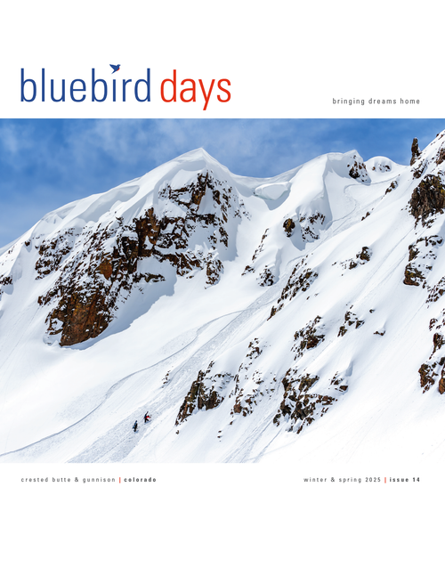 Bluebird Days Magazine