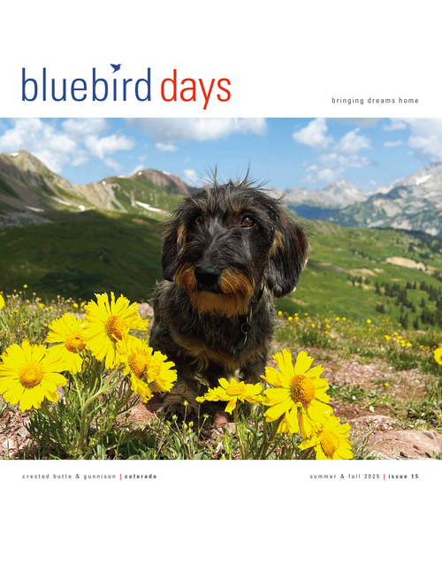 Bluebird Days Magazine