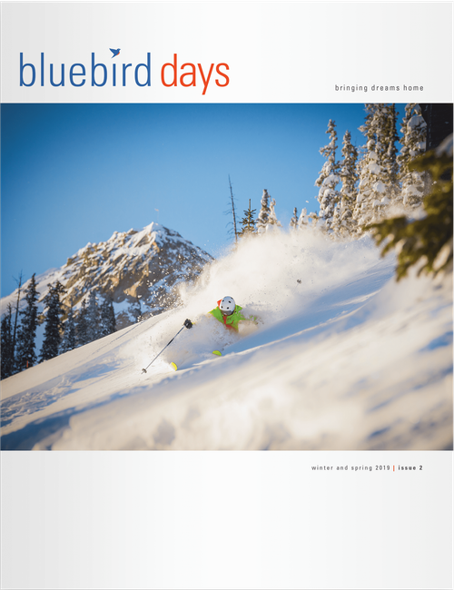 Bluebird Days Magazine